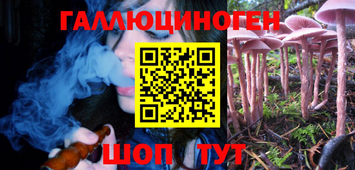 Елабуга  Псилоцибиновые грибы Psilocybine cubensis  Вход с VPN 